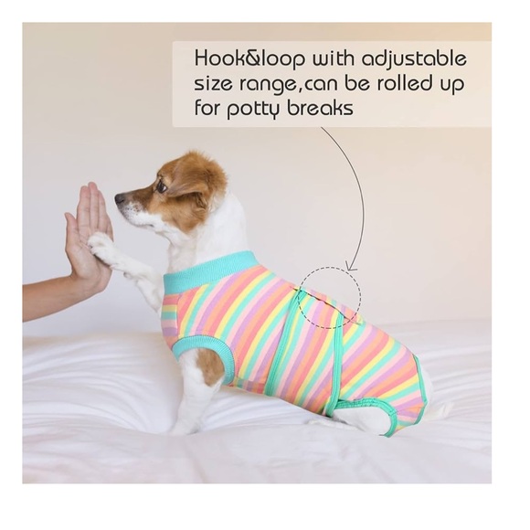 Dog onesie - Picture 2 of 8